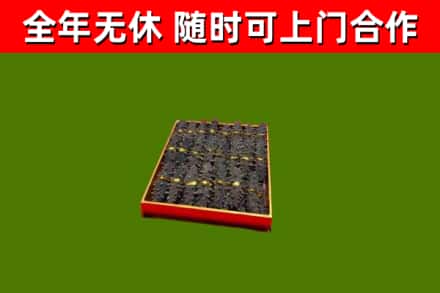 连云港市回收海参